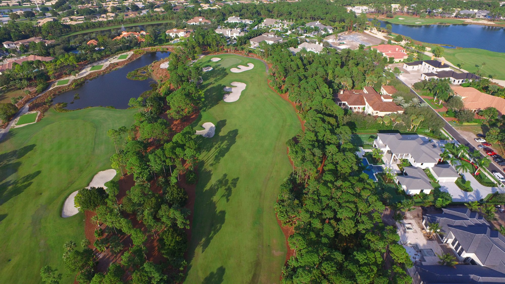 An Old Palm fairway lined with tall pines, with bunkers and a lake beyond